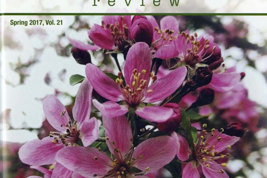 Cover of Writing Center Review